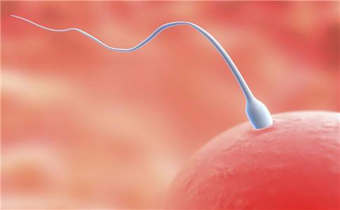 案例